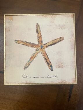 Pier 1 Starfish Glicee Framed Art